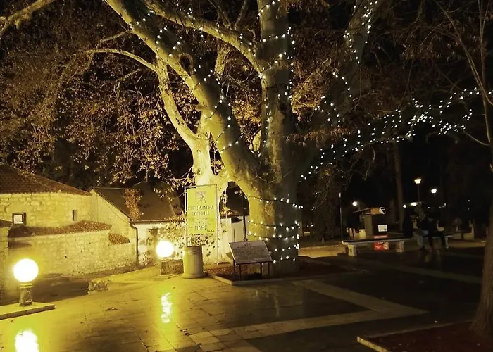 アパート Mist8 ソコバニャ