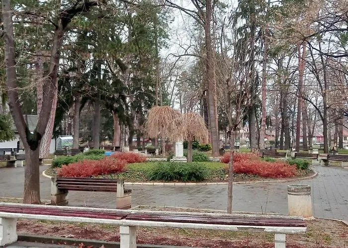 アパート Mist8 ソコバニャ